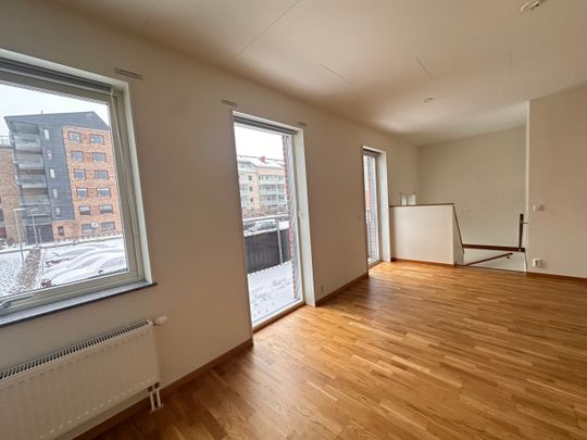 Kantorsgatan 55- 4rok (lgh 0055) - Photo 1