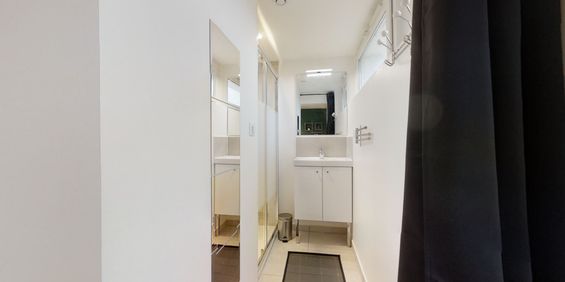 LARRAMET Roommate 3 Bedrooms at Toulouse - Photo 3