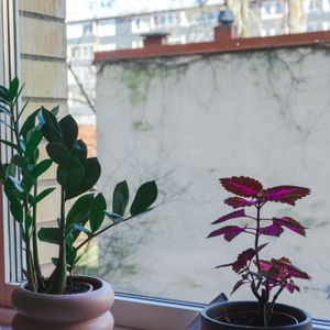 Kyrkogatan 6C - Photo 3