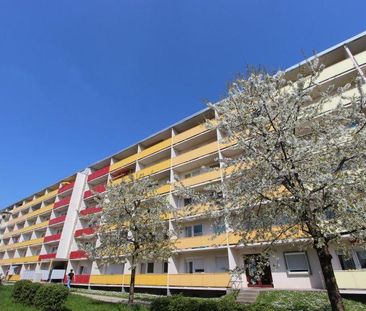 Wohne mit Concierge und Aufzug in gemütlicher Wohnung - Foto 1