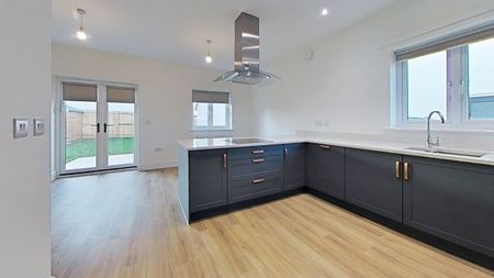 The Harbourne - Photo 5