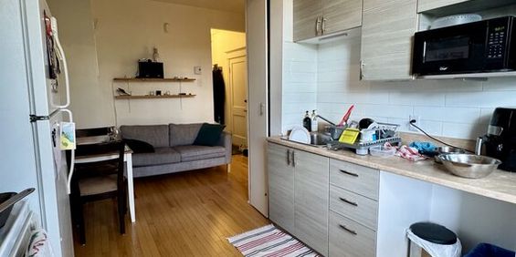 Villeray - Beau 3 1/2 Lumineux - Photo 3