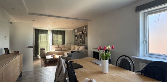 In optie - Appartement te huur in Kuringen met 1 slaapkamer - Photo 2