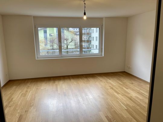 Gemütliche 1.5-Zimmerwohnung nähe Vierwaldstättersee - Foto 1