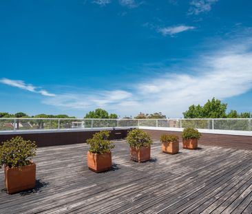 29/360 Bourke Street, Darlinghurst NSW 2010 - Studio For Rent | Domain - Photo 5