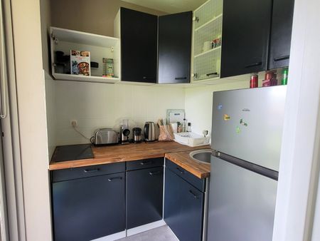 Location Appartement 1 pièce 25m² CROIX 59170 - Photo 4