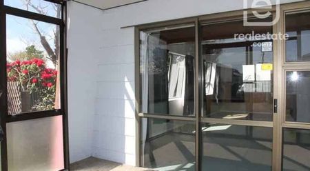 Charming 4 Bedrooms right in town - Photo 4