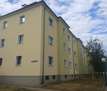 2-Raum-Wohnung in Heidenau - Photo 1