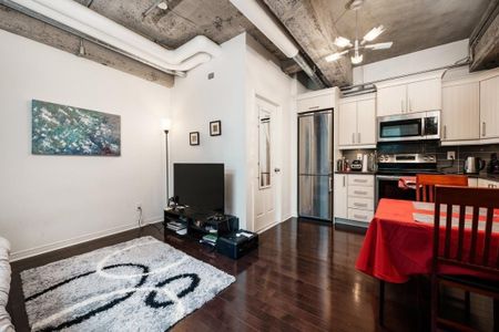 Appartement à louer - Montréal (Ville-Marie) (Centre) - Photo 2