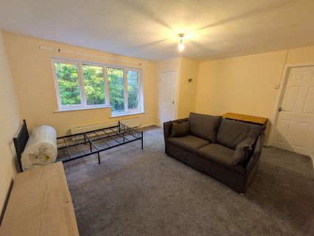 Studio to rent - Photo 3