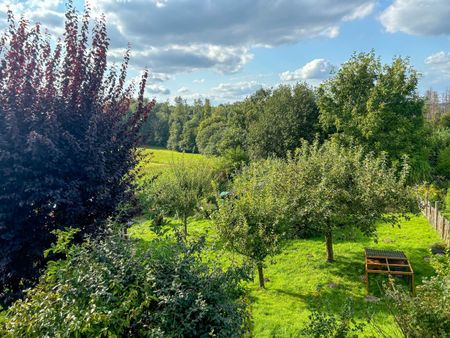 Rarität für echte Naturliebhaber: Einfamilienhaus mit schönem Gartengrundstück und Dachterrasse - Foto 4