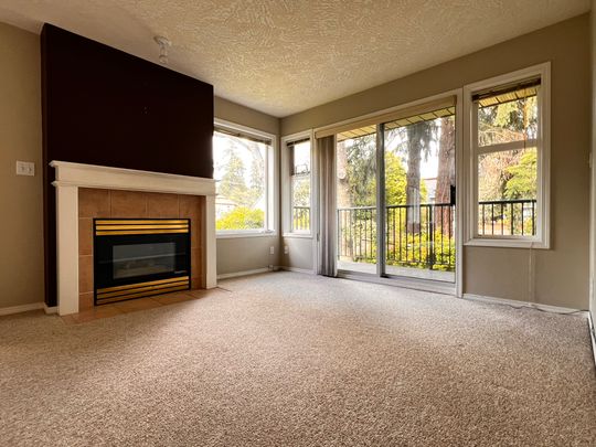 Swan - 204 - Photo 1