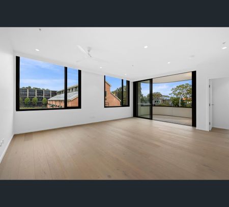 30 Young Street, Randwick, NSW 2031 - Photo 3