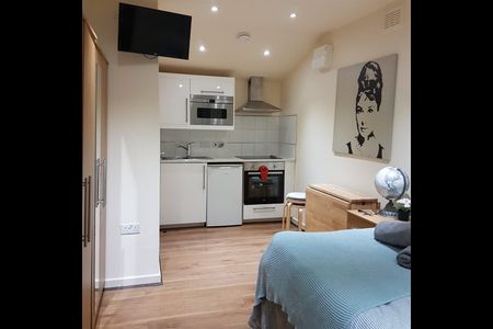 Studio Flat, Willesden Green, NW2 - Photo 5