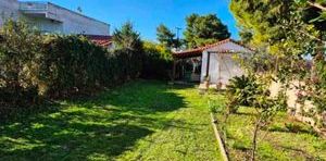 Μονοκατοικία για ενοικίαση - Ανθηδώνος - Photo 2