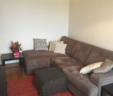 123 Separation Street, Bell Park, Vic 3215 - Photo 3