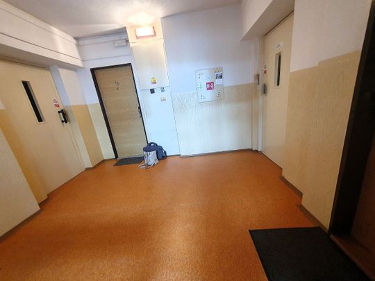Pronájem bytu 1+1 43 m² - Photo 1
