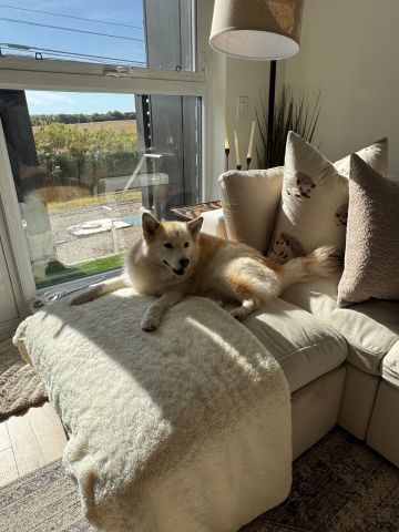 For Lease - 335 Wheat Boom Drive Unit# 102, Oakville, Ontario - Photo 4