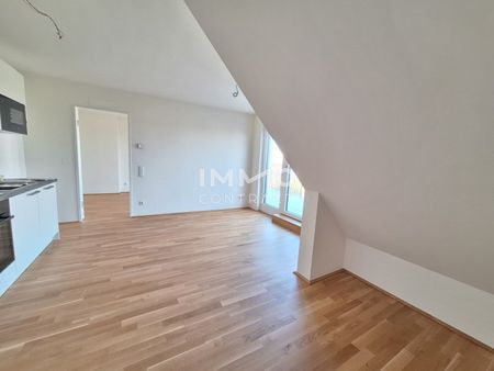 Terrassentraum; 2 Zimmerwohnung mit Dachterrasse in der Schillgasse - Foto 4