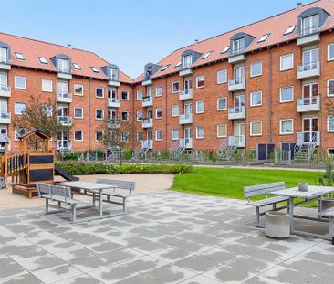 Afd. 23 Kodammen 6 - Photo 4