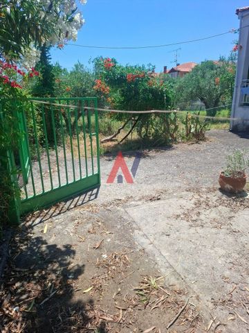 Μονοκατοικία για ενοικίαση Νέα Βρασνά (Άγιος Γεώργιος) - Photo 4