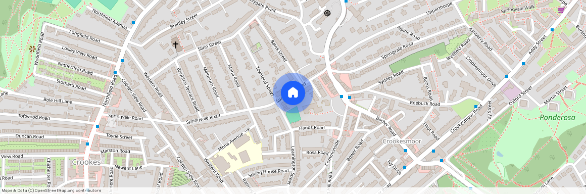 235 Springvale Road, Crookesmoor