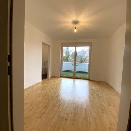 Linz/Urfahr/Jägerstraße: Traumlagewohnug mit Terrasse - Photo 1