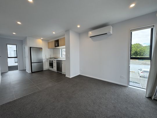 10 Indigo Lane, City Centre (Christchurch City), Christchurch - Photo 1