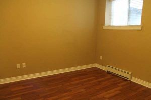 $995 / 2br – 700ft2 – 2 bedrooms & 1 bath basement suite (Port Coquitlam) - Photo 2