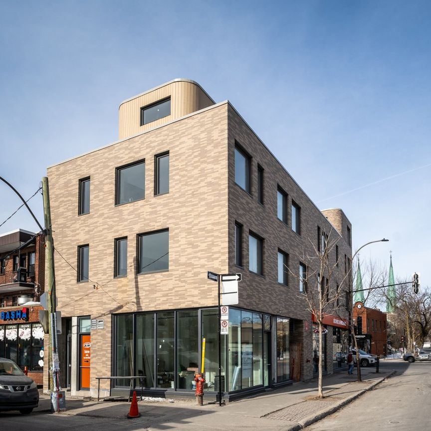 Condo for rent, Montréal (Rosemont/La Petite-Patrie) - Photo 1