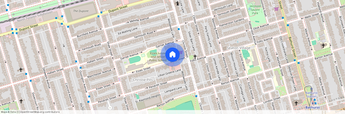 20 Essex Street Unit# Bsmt, Toronto