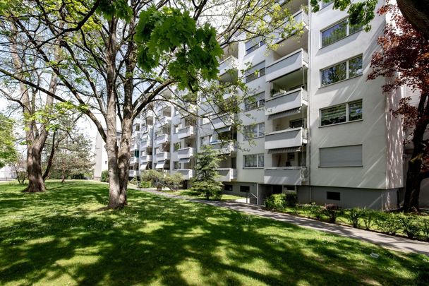 Zwischen Gartenbad Bachgraben und Kannenfeldpark - helle und freundliche 3-Zimmerwohnung in Basel - Photo 1