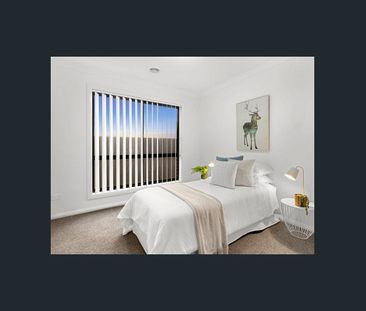 Popping potential and opportunity! - Photo 6