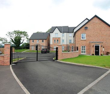 17 Ballyveigh Gardens - Photo 3