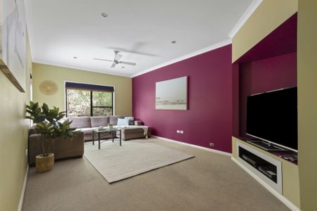 LILLI PILLI NSW - Photo 5