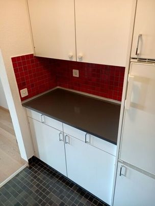 Appartement lumineux près de la ville avec coin salon de jardin ensoleillé à louer - Photo 1