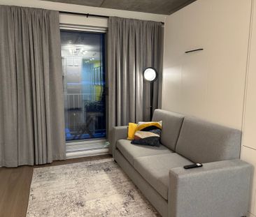 1406 Rue Ste-Élisabeth, #311 - Photo 4