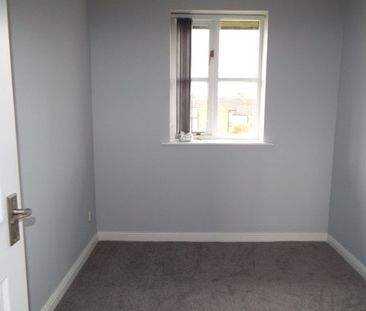 Redwood Grove - Photo 2