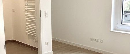 1-Zimmer-Single-Apartment mit großer Terrasse - Photo 1