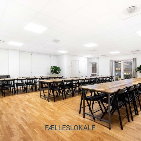 Skøn 4 værelses lejlighed til leje - Photo 3