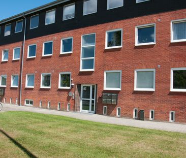 Rugkobbel, 6200, Aabenraa - Photo 4