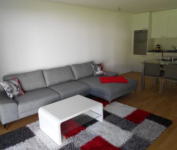 3.5 Zimmer, 75 m², 1. Stock - Foto 1
