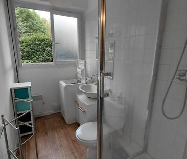 Location Appartement 1 pièce 25m² GRENOBLE 38100 - Photo 4