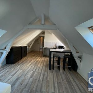 Location Appartement 1 pièce 18m² - Photo 3