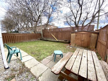 For Lease - 43 Walter Avenue Unit# lower back unit, Newmarket, Ontario - Photo 3