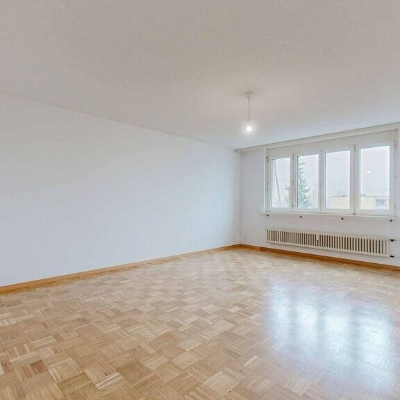 Recently renovated apartment in Oberentfelden - Photo 1
