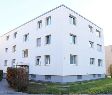 3.5 Zimmer, 63 m², 1. Stock - Photo 2