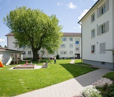 3 Zimmer, 66 m², EG - Foto 1