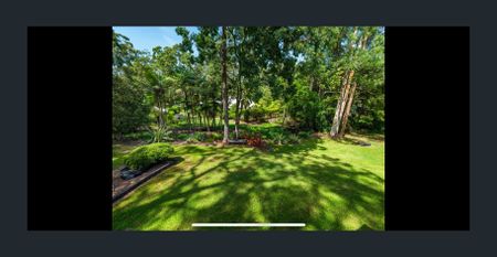 Charming Rustic Semi-Rural Home - Peaceful Living Near Woolgoolga - Photo 4