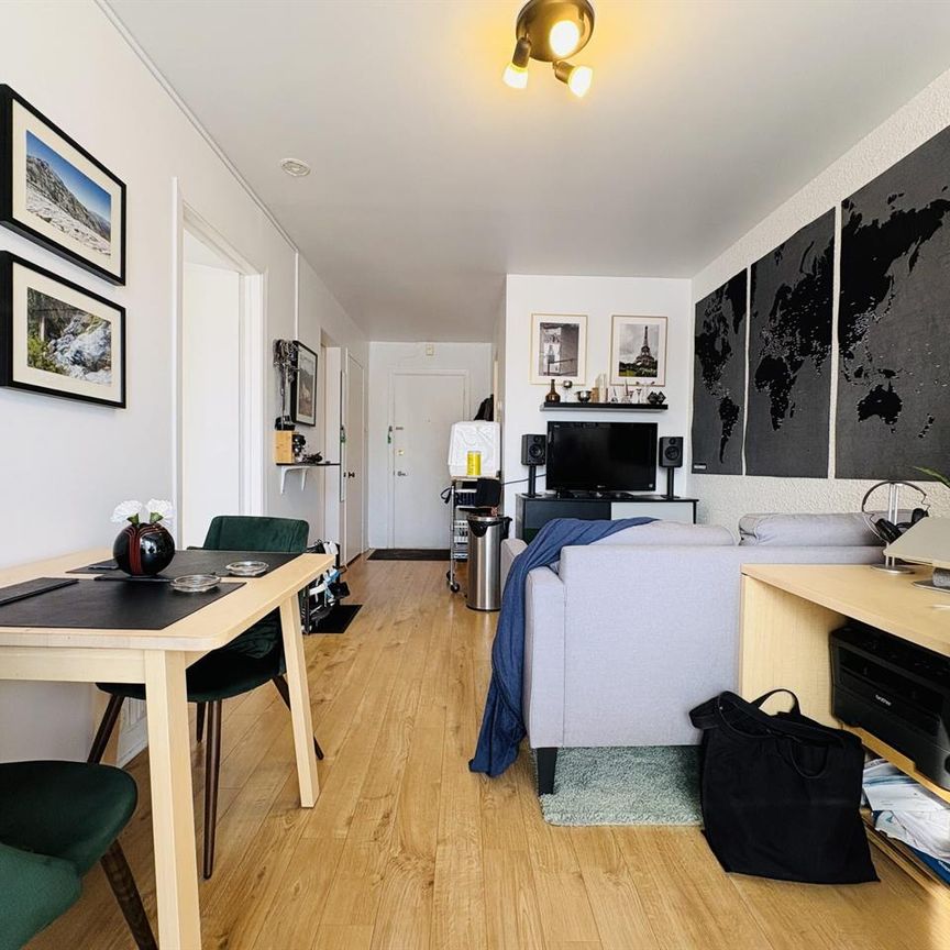 Saint-Louis Appartement 3 ½ à Louer Sainte-Foy / Sillery Juillet 2026 - Photo 1